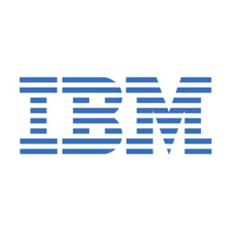 Différents types de logo - Le logo de l'entreprise IBM