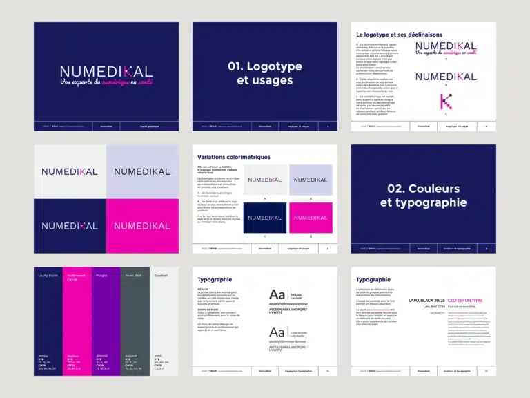 Charte graphique Numedikal présentant logo, variations colorimétriques et typographies