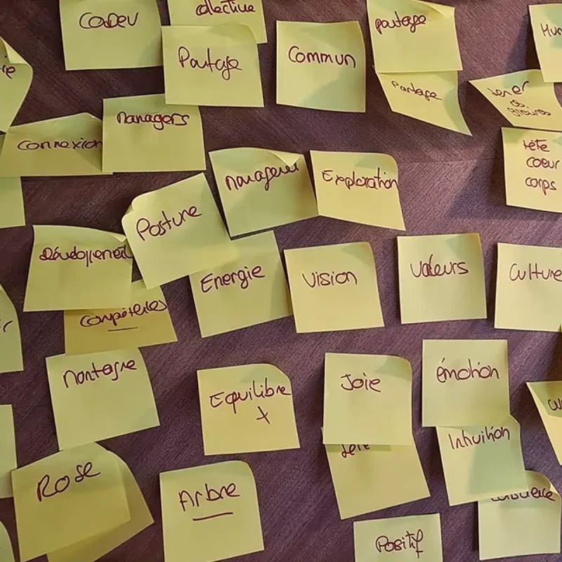 Atelier naming – travail stratégique autour des valeurs et de la vision de marque